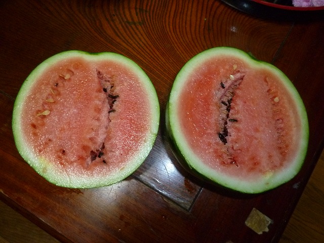 suica